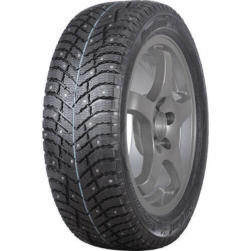 Шина зимняя автомобильная Cordiant Snow Cross 2 SUV 215/55 R18 99T фото, описание