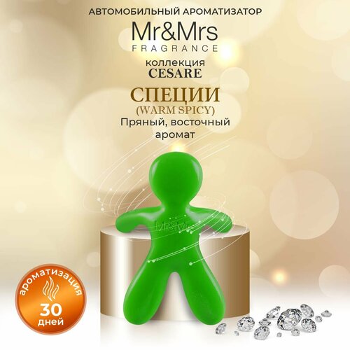 Ароматизатор для авто Mr&Mrs Fragrance Cesare Специи Warm Spicy зеленый фото, описание