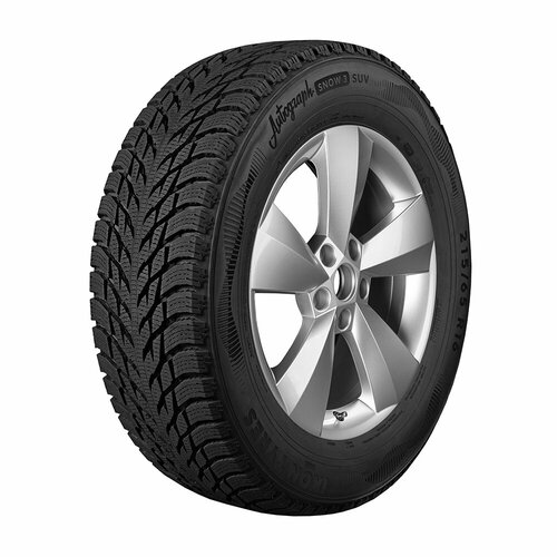 Автошина Ikon 285/40R21 109T XL AUTOGRAPH SNOW 3 SUV фото, описание