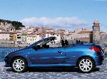 grianghraf 2 Carr Peugeot 206 Cabriolet (1 giniúint 1998 2003)