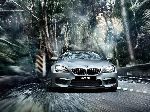 foto 12 Auto BMW 6 serie Gran Coupe sedan (F06/F12/F13 [el cambio del estilo] 2015 2017)