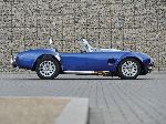 фотография 17 Авто AC Cobra Родстер (1 поколение 1990 2001)