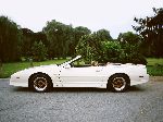 nuotrauka 13 Automobilis Pontiac Firebird Kabrioletas (4 generacija 1993 1997)